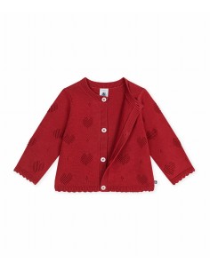 Cardigan Chili 2