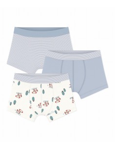 3 boxers...